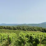 Podere Aurora * Massa Marittima