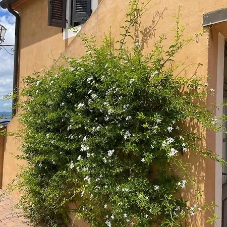 Podere Aurora * Massa Marittima